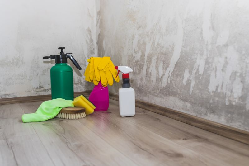 Air Duct Mold Removal in West Palm Beach, FL