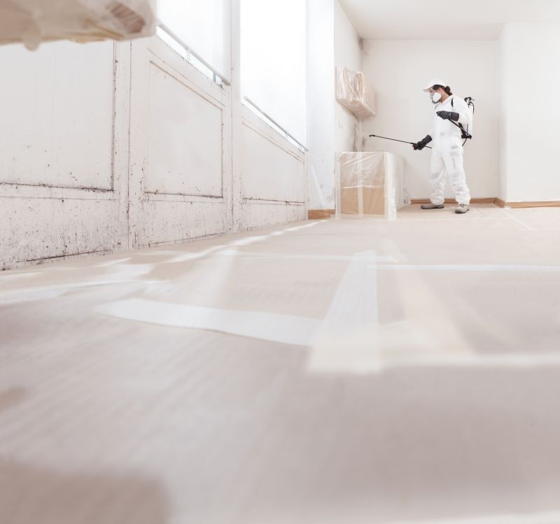 Basement Mold Remediation in Broward County, FL