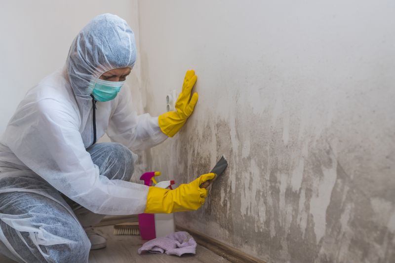Basement Mold Remediation in Fort Lauderdale, FL