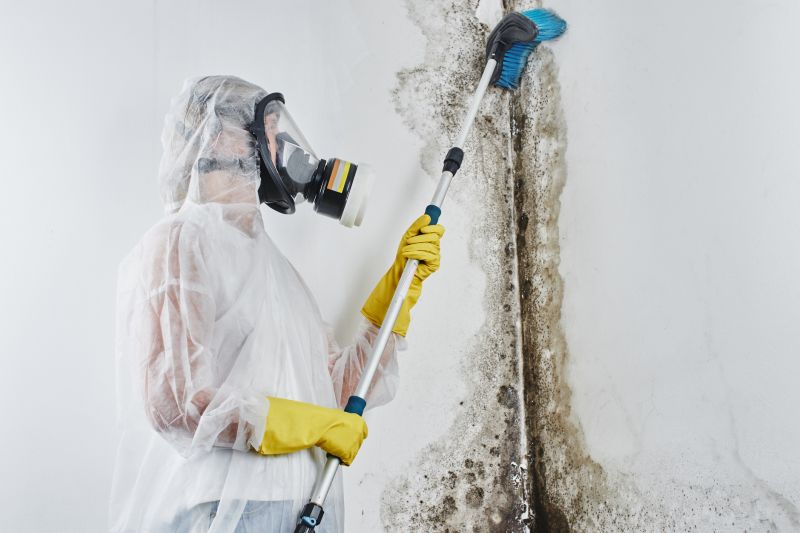 Basement Mold Remediation in West Palm Beach, FL