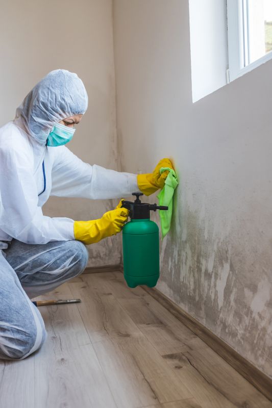 Crawlspace Mold Remediation in Boca Raton, FL