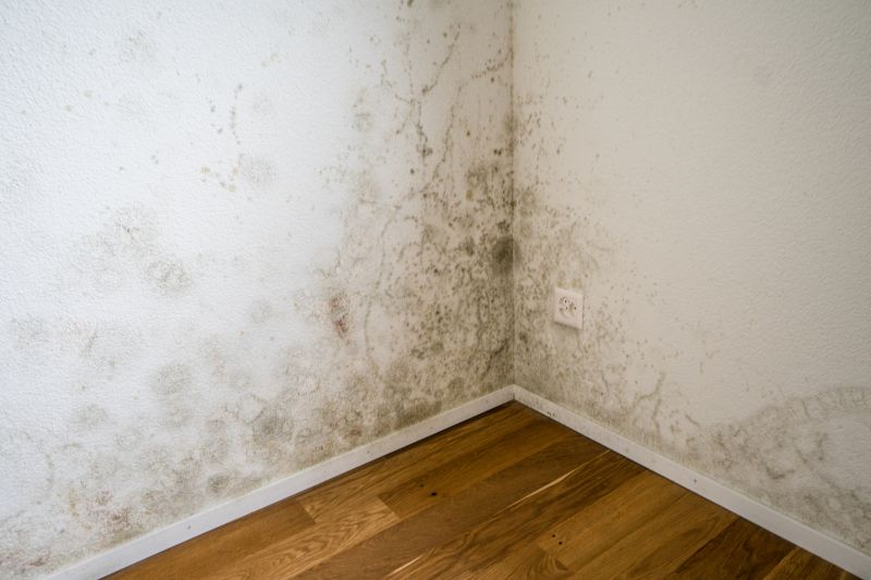 Indoor Mold Spores Testing