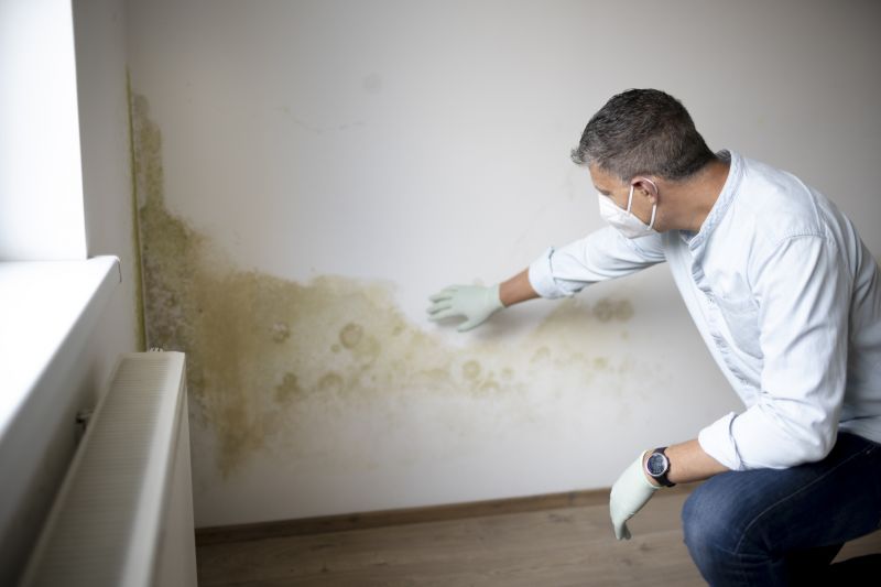 Indoor Mold Spores Testing