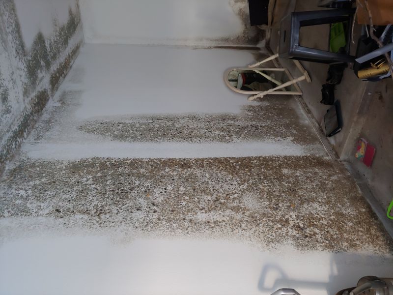 Indoor Mold Spores Testing