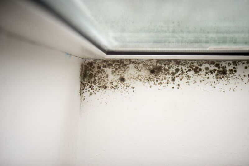 Mold-Infested Wall