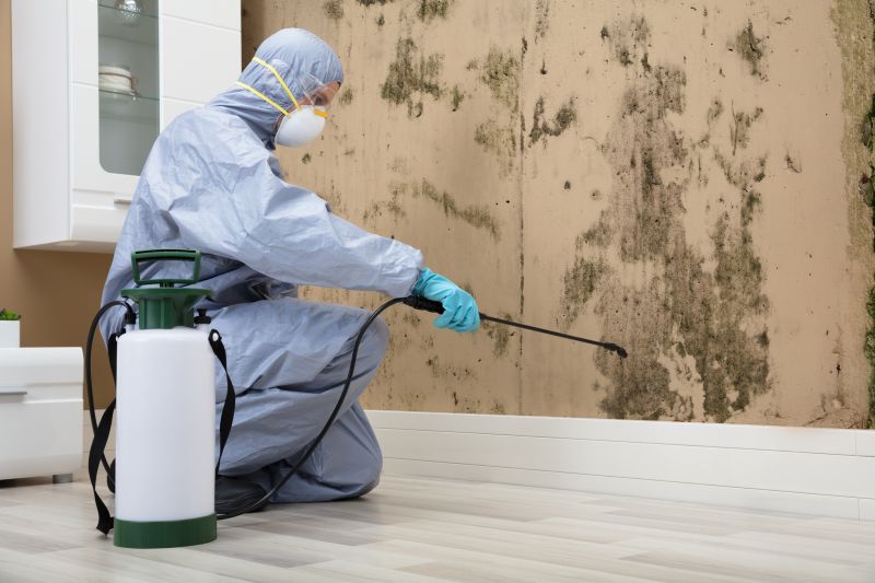 Mold Inspection Professional