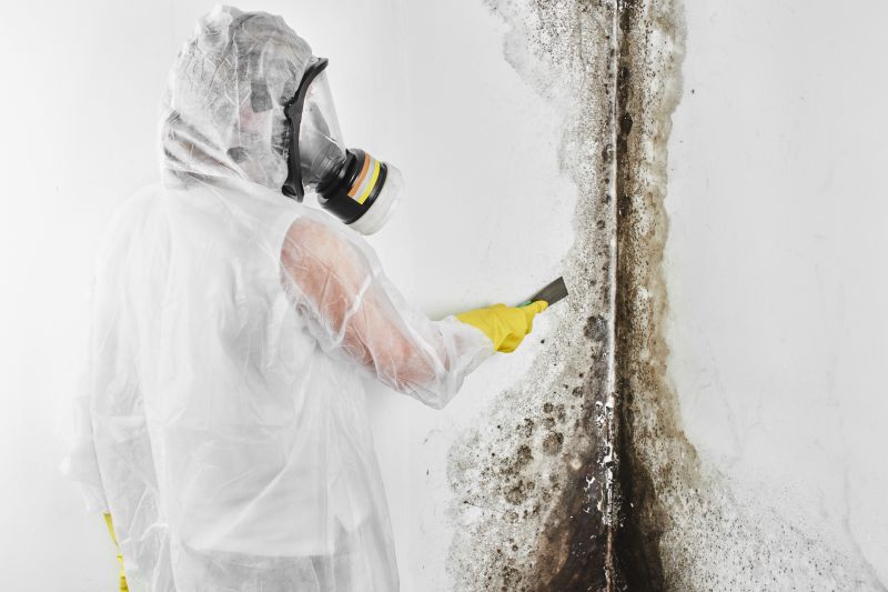 Mold Growth on Wall