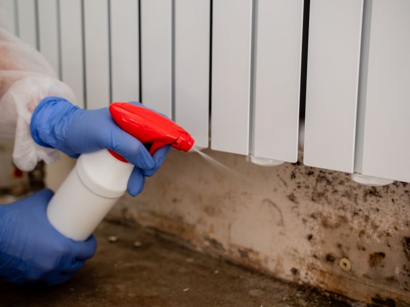 Mold Removal in West Palm Beach, FL